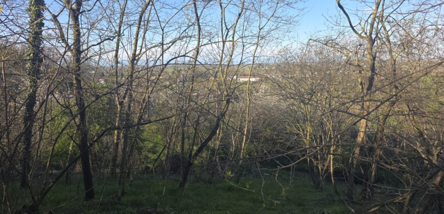 SAN COLOMBANO AL LAMBRO – Terreno agricolo