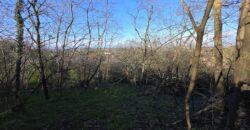 SAN COLOMBANO AL LAMBRO – Terreno agricolo