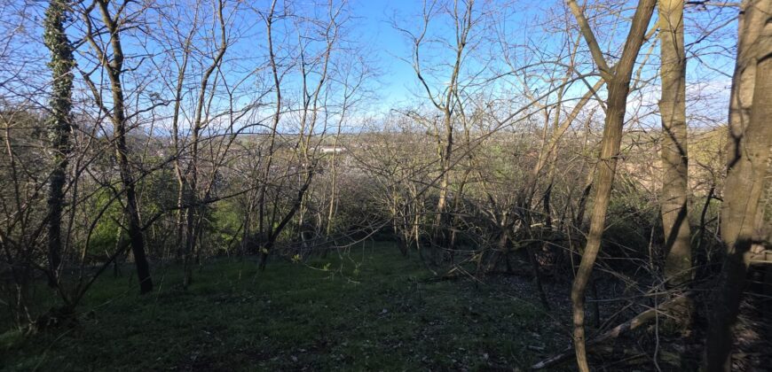 SAN COLOMBANO AL LAMBRO – Terreno agricolo