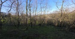 SAN COLOMBANO AL LAMBRO – Terreno agricolo