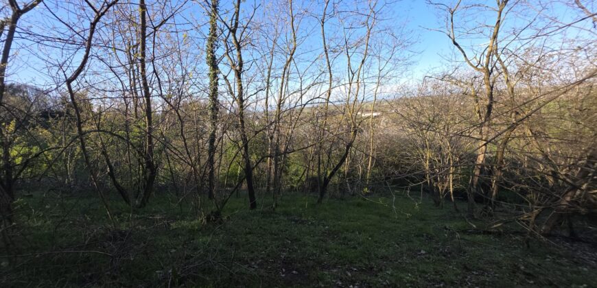 SAN COLOMBANO AL LAMBRO – Terreno agricolo