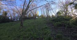 SAN COLOMBANO AL LAMBRO – Terreno agricolo