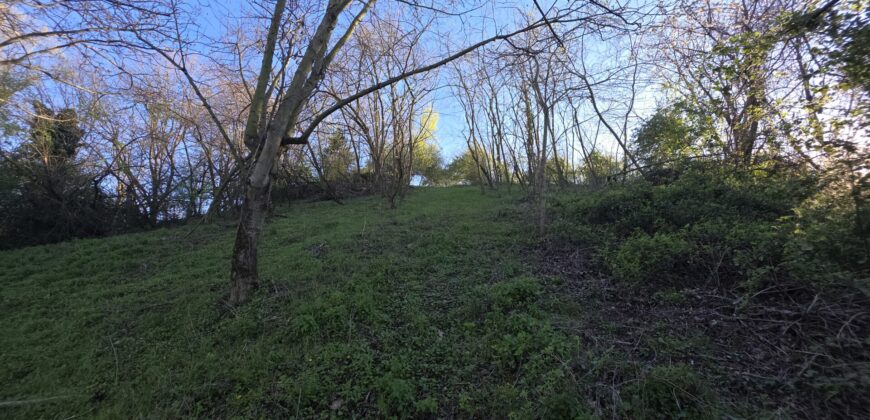 SAN COLOMBANO AL LAMBRO – Terreno agricolo