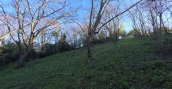 SAN COLOMBANO AL LAMBRO – Terreno agricolo