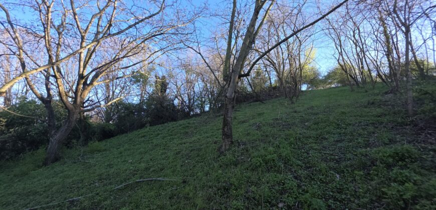 SAN COLOMBANO AL LAMBRO – Terreno agricolo