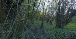 SAN COLOMBANO AL LAMBRO – Terreno agricolo