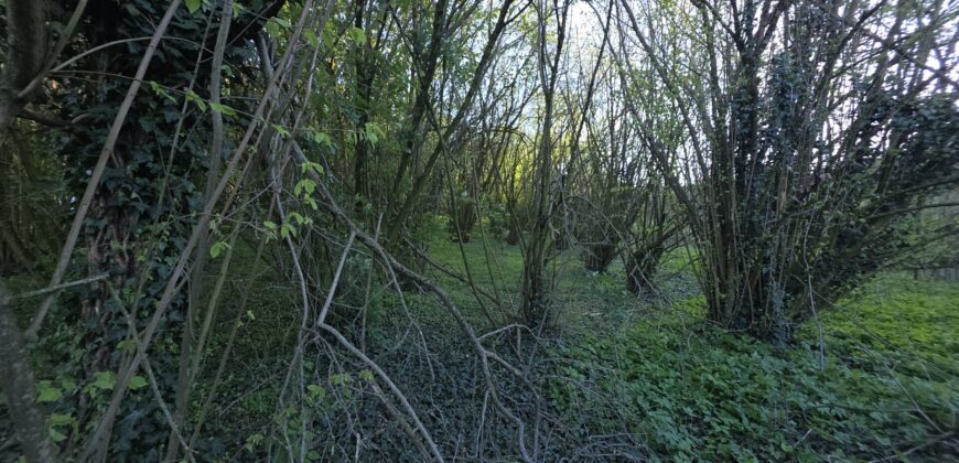 SAN COLOMBANO AL LAMBRO – Terreno agricolo