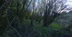 SAN COLOMBANO AL LAMBRO – Terreno agricolo