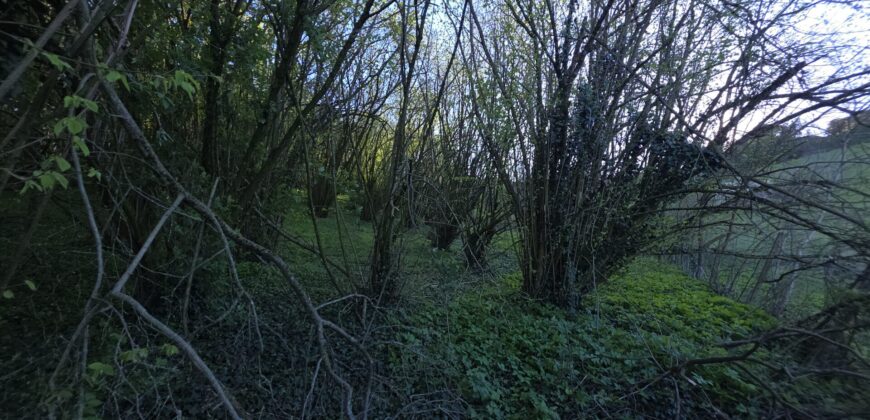 SAN COLOMBANO AL LAMBRO – Terreno agricolo