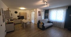 SANT’ANGELO LODIGIANO- Appartamento internamente ristrutturato