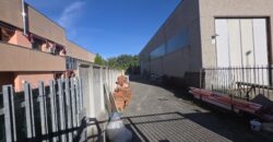 CASTIRAGA VIDARDO – Capannone commerciale